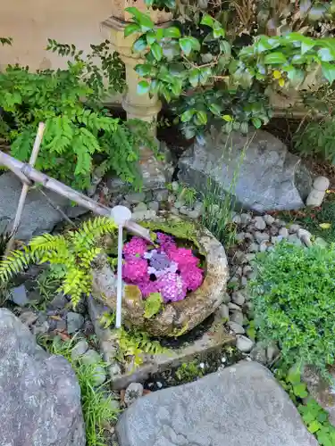 柳谷観音　楊谷寺(京都府)