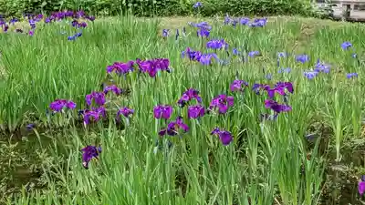 深大寺(東京都)