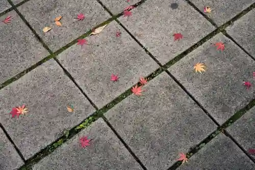 眞田神社の自然