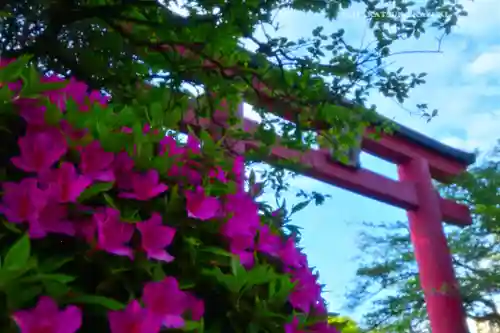 亀戸天神社(東京都)