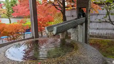 妙満寺(京都府)