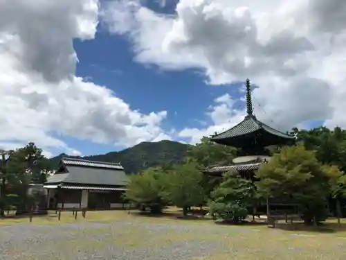 清凉寺の景色