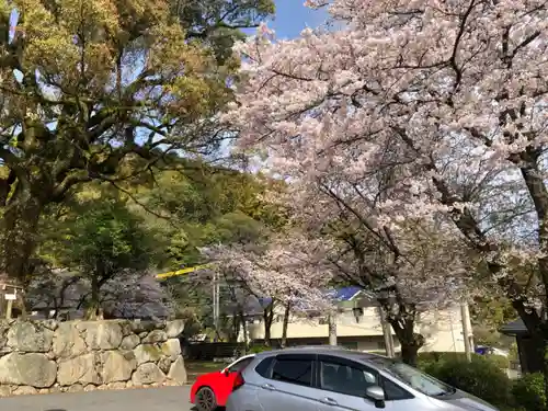 荒穂神社の自然