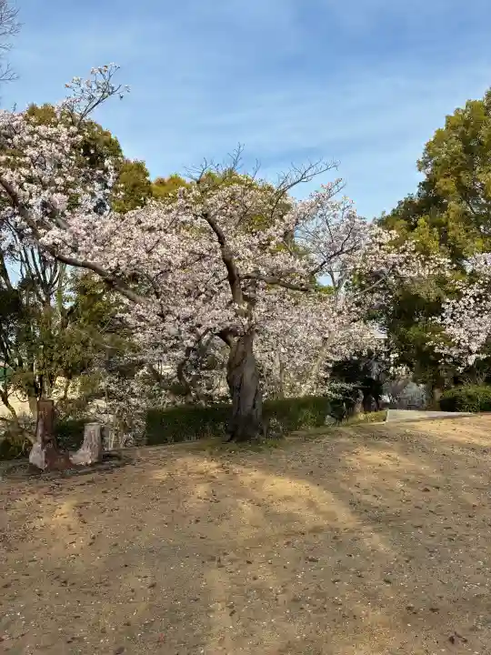 成願寺の{uncategorized: "未分類", other: "その他", undefined: "問題あり", building: "その他建物", grave: "お墓", sacred_gate: "鳥居", guardian: "狛犬", statue: "像", buddha: "仏像", history: "歴史", nature: "自然", garden: "庭園", animal: "動物", pagoda: "塔", temizu: "手水舎", mountain_gate: "山門・神門", sanctuary: "本殿・本堂", subordinate: "末社・摂社", art: "芸術", scenery: "景色", jizo: "地蔵", ema: "絵馬", goshuin: "御朱印", omikuji: "おみくじ", items: "授与品その他", amulet: "お守り", goshuincho: "御朱印帳", eats: "食事", festival: "お祭り", votive_dance: "神楽", shichigosan: "七五三参", wedding: "結婚式", experience: "体験その他", initially: "初詣", around: "周辺", anti_infection: "感染症対策"}