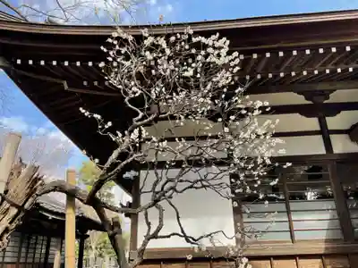 泉龍寺のその他建物
