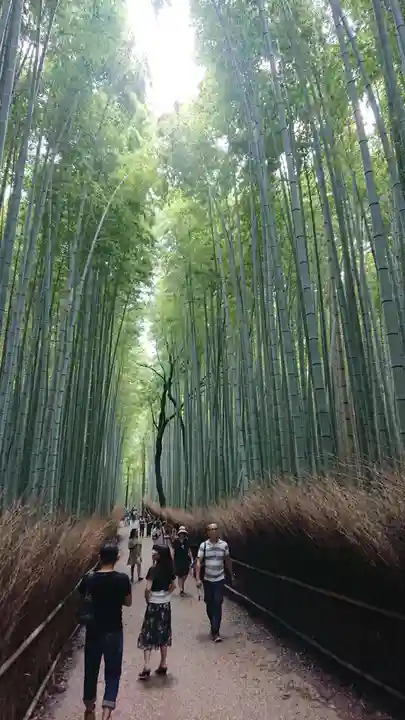 野宮神社の自然