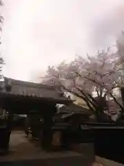 称名寺の山門