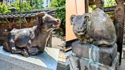 湯島天満宮の狛犬