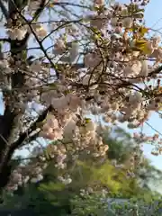 横浜　西方寺の自然