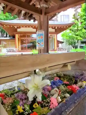 鳩森八幡神社の手水舎