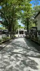 石切劔箭神社(大阪府)