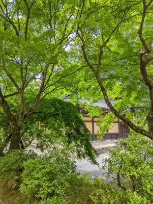 南禅寺(京都府)