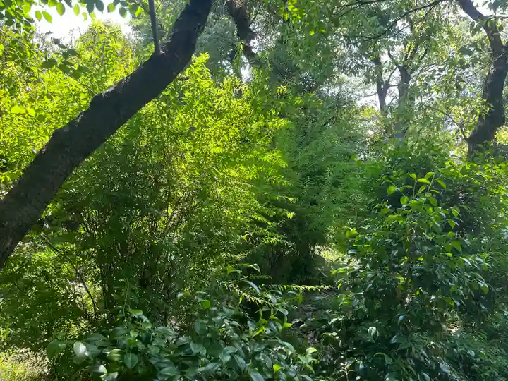 難波大社 生國魂神社の自然