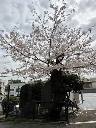 海向山岩松寺金蔵院(神奈川県)