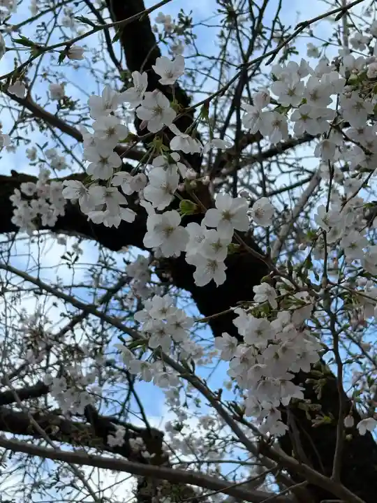 靖國神社の{uncategorized: "未分類", other: "その他", undefined: "問題あり", building: "その他建物", grave: "お墓", sacred_gate: "鳥居", guardian: "狛犬", statue: "像", buddha: "仏像", history: "歴史", nature: "自然", garden: "庭園", animal: "動物", pagoda: "塔", temizu: "手水舎", mountain_gate: "山門・神門", sanctuary: "本殿・本堂", subordinate: "末社・摂社", art: "芸術", scenery: "景色", jizo: "地蔵", ema: "絵馬", goshuin: "御朱印", omikuji: "おみくじ", items: "授与品その他", amulet: "お守り", goshuincho: "御朱印帳", eats: "食事", festival: "お祭り", votive_dance: "神楽", shichigosan: "七五三参", wedding: "結婚式", experience: "体験その他", initially: "初詣", around: "周辺", anti_infection: "感染症対策"}