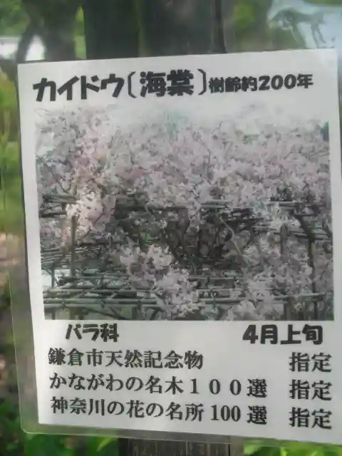 光則寺(神奈川県)