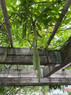 田縣神社(愛知県)
