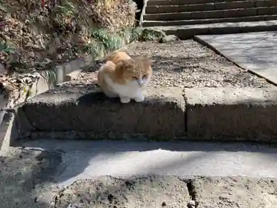 唐澤山神社(栃木県)