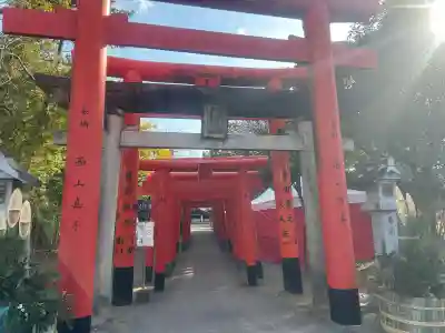 一葉稲荷神社の{uncategorized: "未分類", other: "その他", undefined: "問題あり", building: "その他建物", grave: "お墓", sacred_gate: "鳥居", guardian: "狛犬", statue: "像", buddha: "仏像", history: "歴史", nature: "自然", garden: "庭園", animal: "動物", pagoda: "塔", temizu: "手水舎", mountain_gate: "山門・神門", sanctuary: "本殿・本堂", subordinate: "末社・摂社", art: "芸術", scenery: "景色", jizo: "地蔵", ema: "絵馬", goshuin: "御朱印", omikuji: "おみくじ", items: "授与品その他", amulet: "お守り", goshuincho: "御朱印帳", eats: "食事", festival: "お祭り", votive_dance: "神楽", shichigosan: "七五三参", wedding: "結婚式", experience: "体験その他", initially: "初詣", around: "周辺", anti_infection: "感染症対策"}