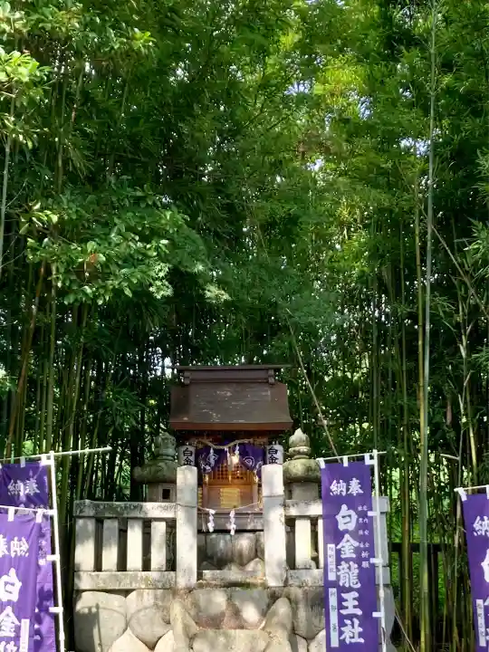 白金龍王社(愛知県)