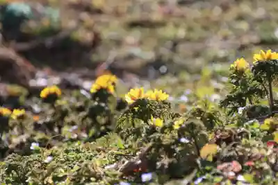 正観音堂の自然