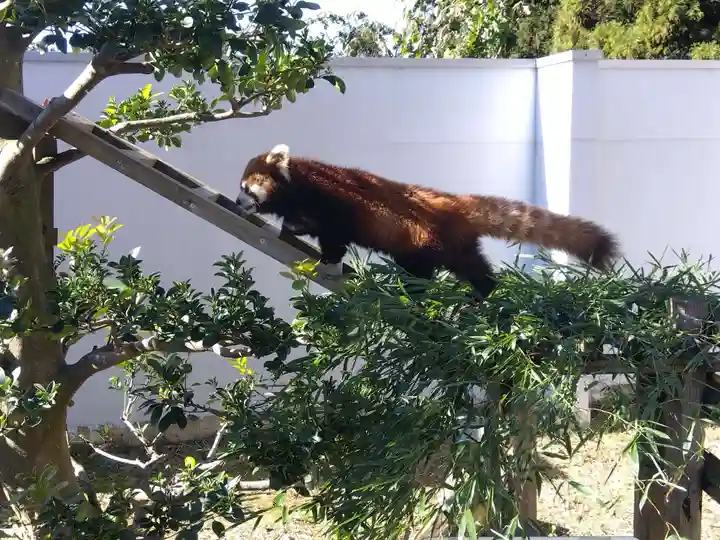 妙法寺(福井県)