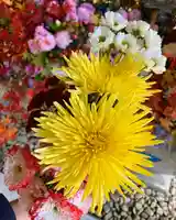 滑川神社 - 仕事と子どもの守り神の手水舎