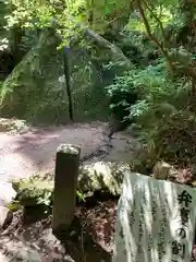 名草厳島神社の自然