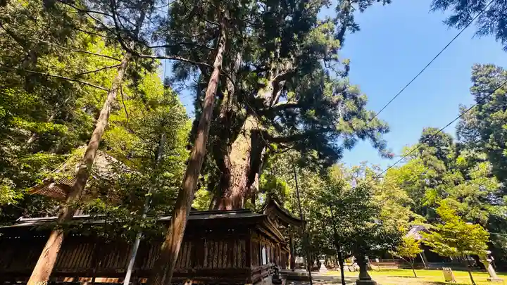 若狭姫神社(若狭彦神社下社)(福井県)