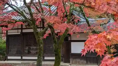 真正極楽寺(真如堂)(京都府)