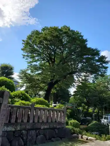 根津神社の自然