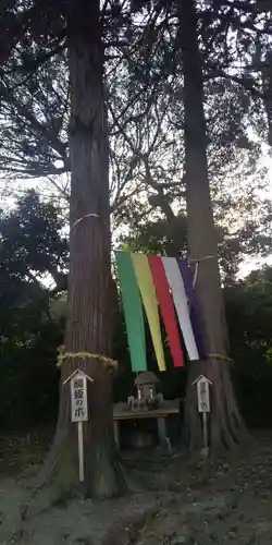 棚機神社の自然
