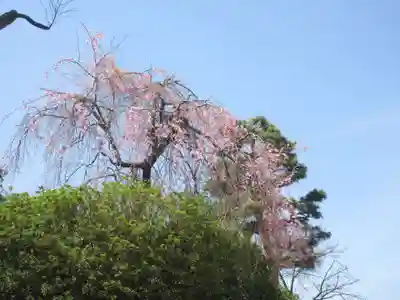 養玉院如来寺(東京都)