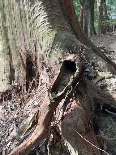 圓教寺(兵庫県)
