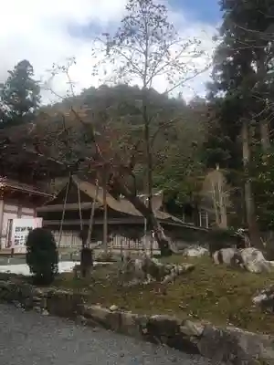 日吉大社の本殿・本堂