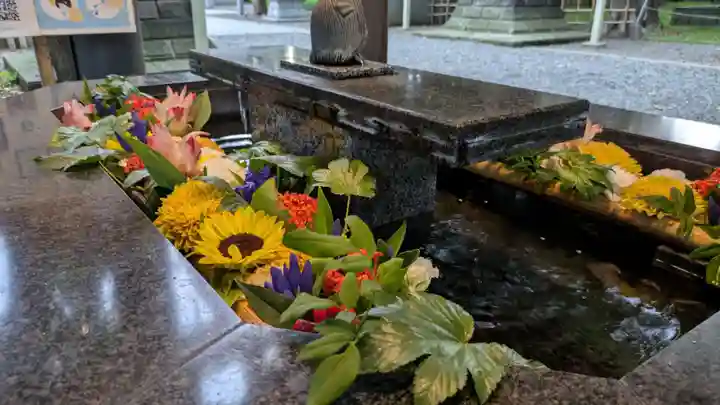 新琴似神社(北海道)