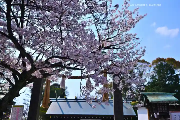 伊勢山皇大神宮(神奈川県)