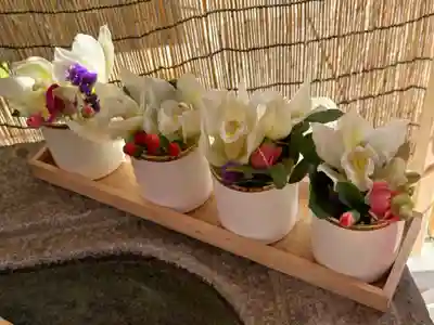 徳島眉山天神社(徳島県)