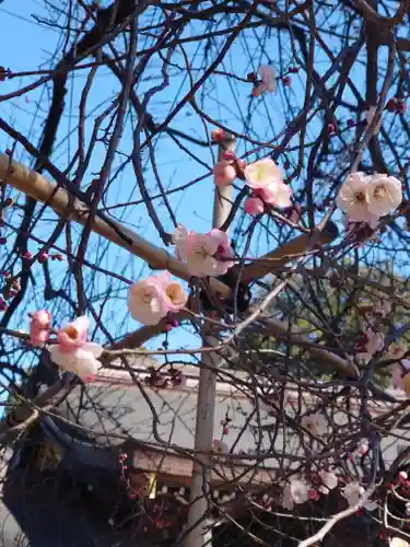 亀ケ池八幡宮(神奈川県)