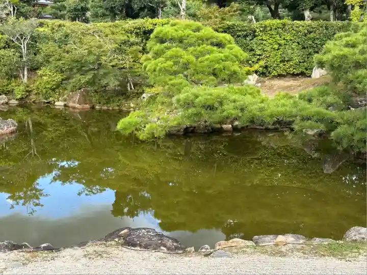 仁和寺(京都府)