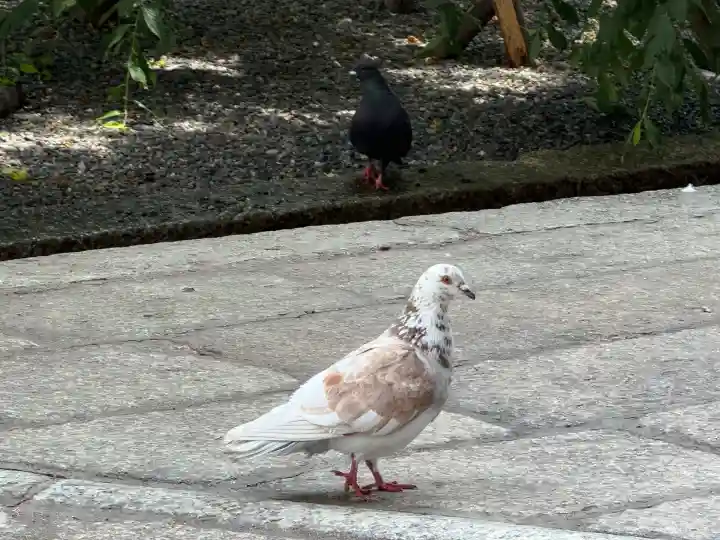 頂法寺(六角堂)(京都府)