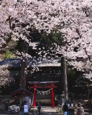 小幡八幡宮(群馬県)