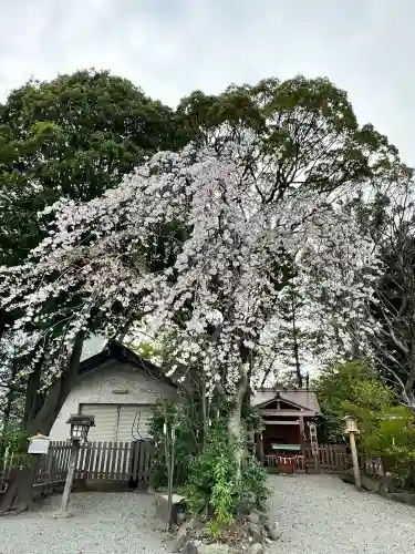 伊勢山皇大神宮(神奈川県)