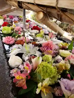 鳩森八幡神社の手水舎