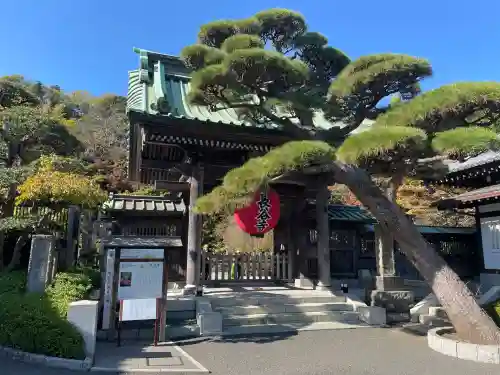長谷寺の山門・神門