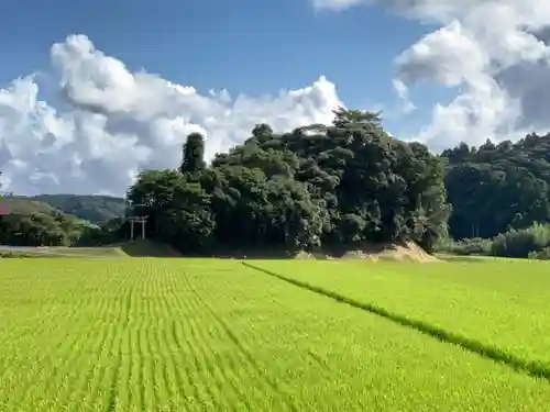 八雲神社の景色