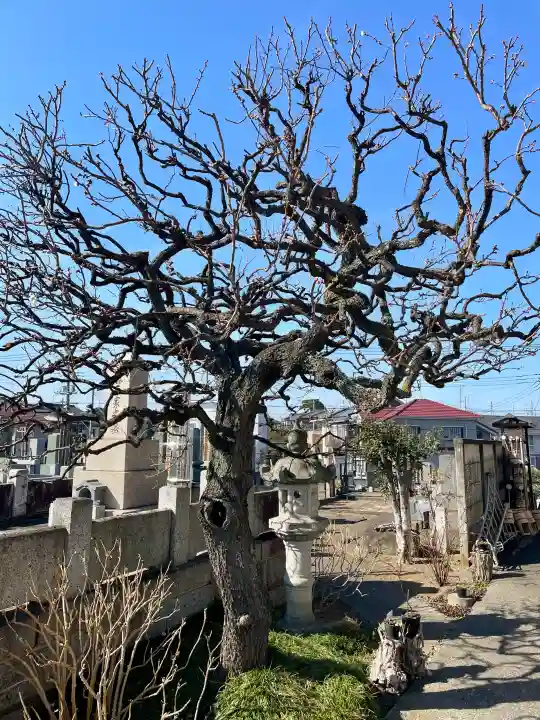 天王院の{uncategorized: "未分類", other: "その他", undefined: "問題あり", building: "その他建物", grave: "お墓", sacred_gate: "鳥居", guardian: "狛犬", statue: "像", buddha: "仏像", history: "歴史", nature: "自然", garden: "庭園", animal: "動物", pagoda: "塔", temizu: "手水舎", mountain_gate: "山門・神門", sanctuary: "本殿・本堂", subordinate: "末社・摂社", art: "芸術", scenery: "景色", jizo: "地蔵", ema: "絵馬", goshuin: "御朱印", omikuji: "おみくじ", items: "授与品その他", amulet: "お守り", goshuincho: "御朱印帳", eats: "食事", festival: "お祭り", votive_dance: "神楽", shichigosan: "七五三参", wedding: "結婚式", experience: "体験その他", initially: "初詣", around: "周辺", anti_infection: "感染症対策"}