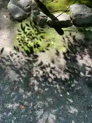 賀茂御祖神社（下鴨神社）(京都府)