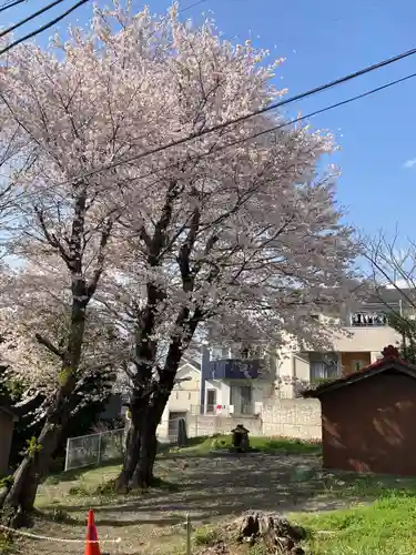 厳島神社(神奈川県)