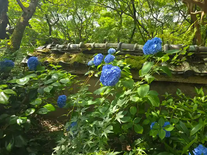 勝持寺(花の寺)(京都府)